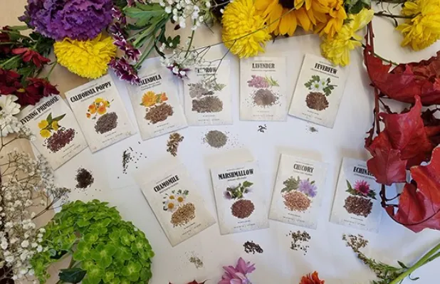Individual seed packets from the Medicinal Garden Kit surrounded by flowers