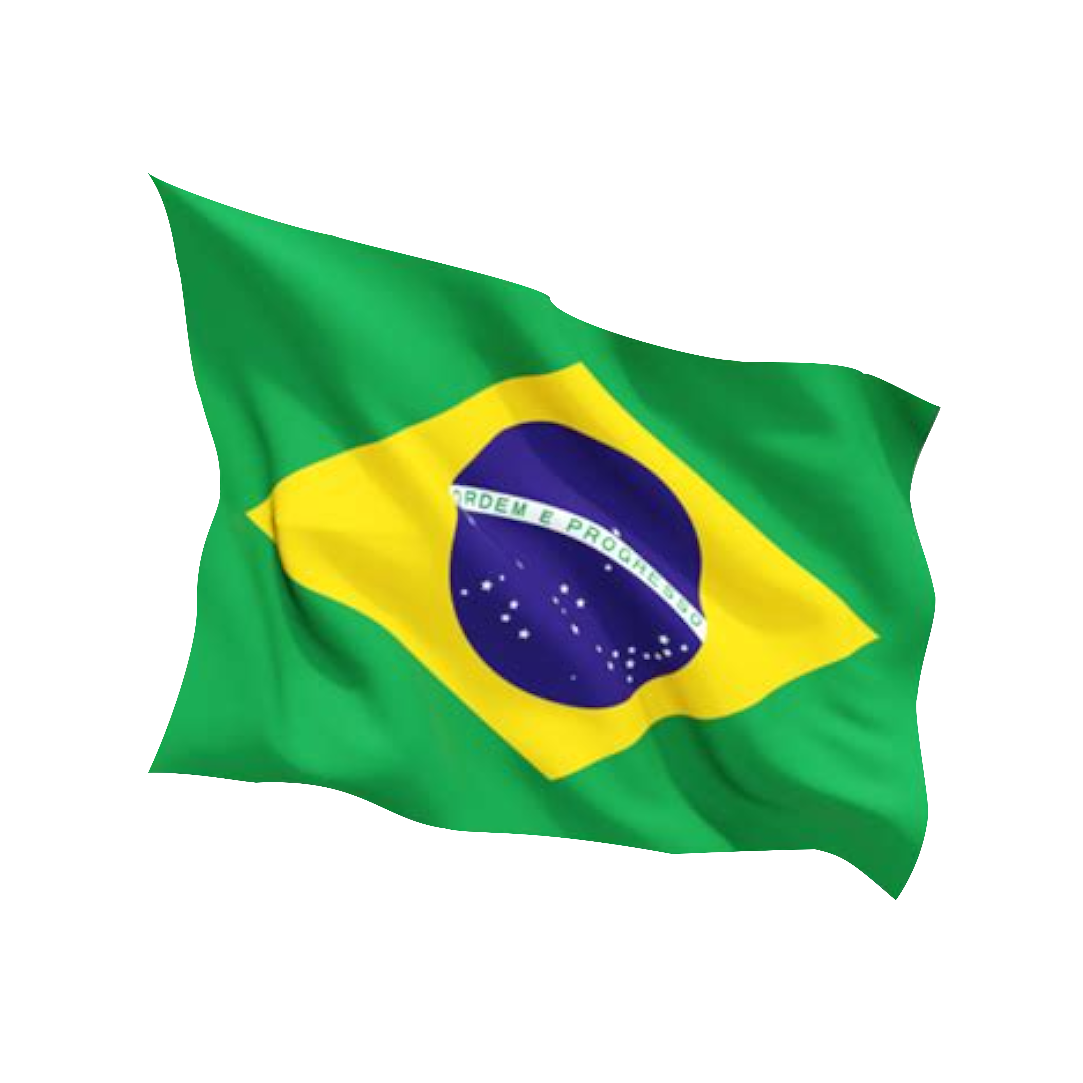 Brazil Flag NEW