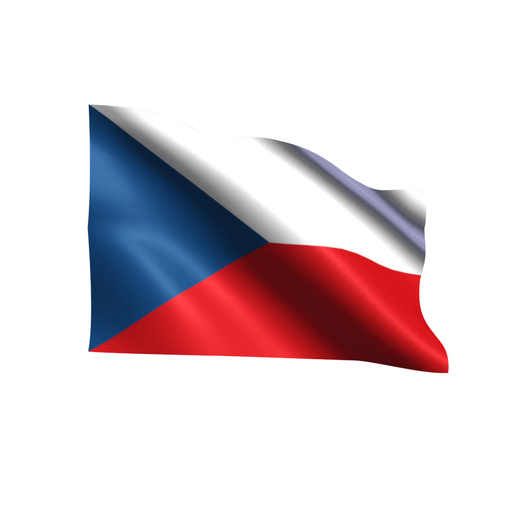Czech Repeblic Flag NEW