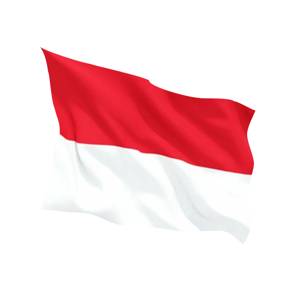 Indonesia Flag NEW