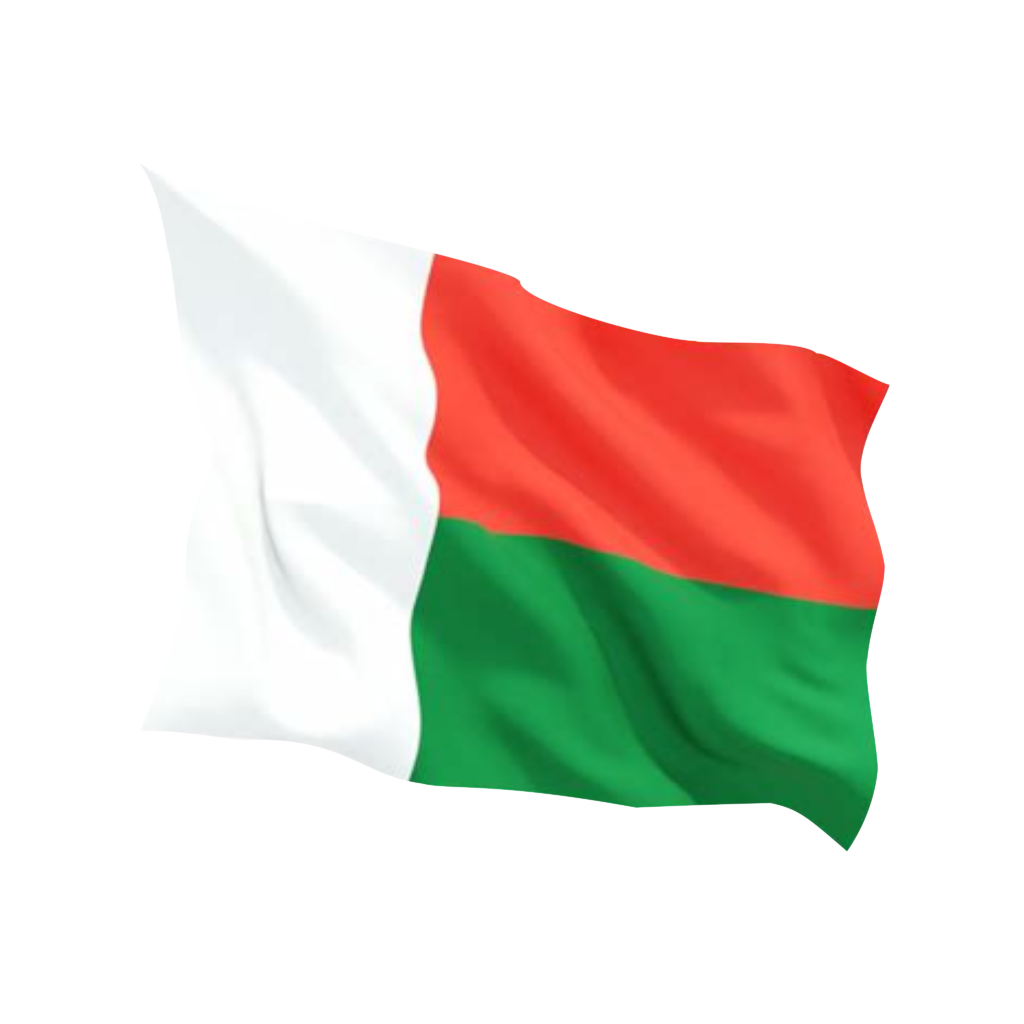 Madagascar Flag NEW