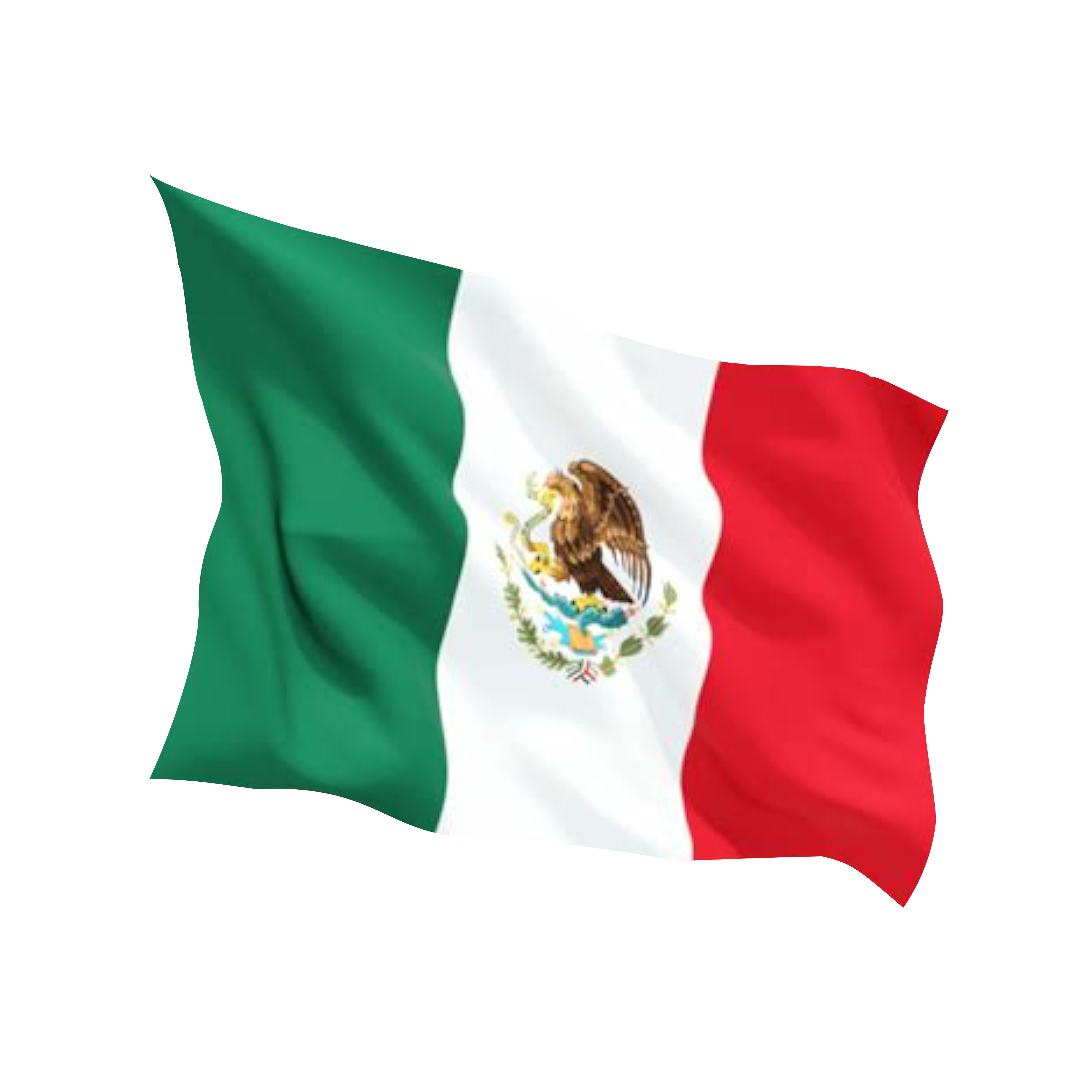 Mexico Flag NEW