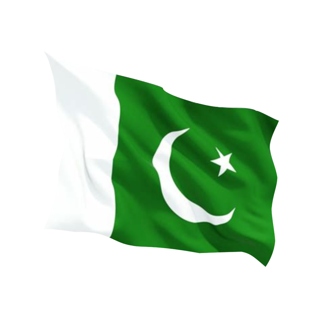 Pakistan Flag NEW