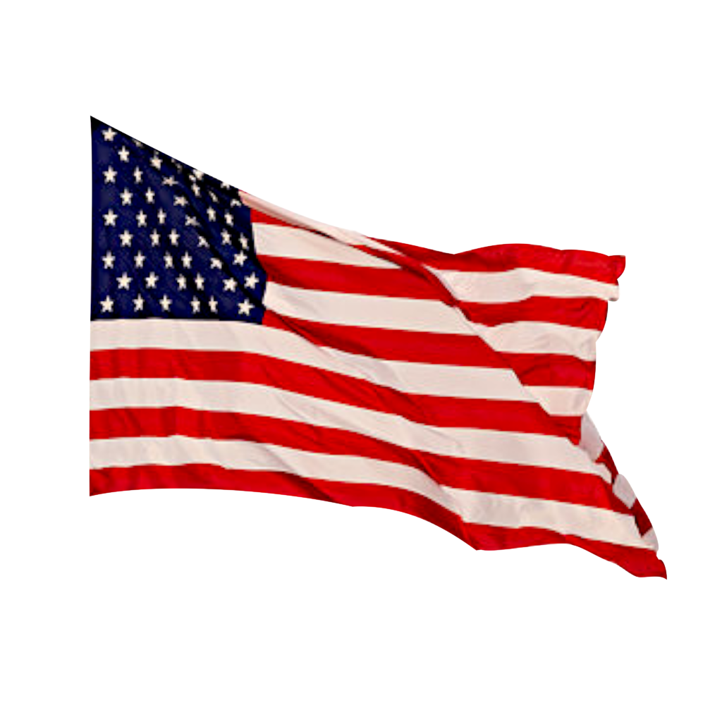 USA Flag NEW